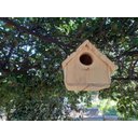 Ver imagem 2 de Casa Ninho para Passarinhos 01 - Hg