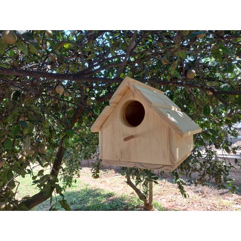 Casa Ninho para Passarinhos 01 - Hg