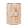 Interruptor de 1 Tecla Simples, Modular, com Placa 4x2 e Suporte - 1