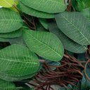 Ver imagem 3 de 36 Galhos Decoração Arranjo Fícus Artificial Planta Decorativa 42cm