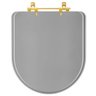 Assento Sanitario Poliester Carrara Cinza Vip (cinza Escuro) para Vaso Deca com Ferragem Dourada - 1
