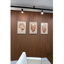 Ver imagem 1 de Painel Ripado Easy: 01 Unid. 270x15cm Larg. Talatto Painéis Freijó