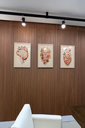 Ver imagem 1 de Painel Ripado Easy: 01 Unid. 270x15cm Larg. Talatto Painéis Freijó