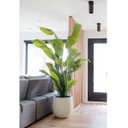 Ver imagem 1 de Bananeira Artificial Decoração Planta Grande para Sala 2.10m