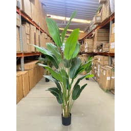 Bananeira Artificial Decoração Planta Grande para Sala 2.10m - 4