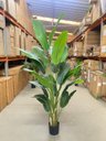 Ver imagem 4 de Bananeira Artificial Decoração Planta Grande para Sala 2.10m