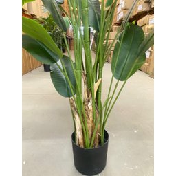 Bananeira Artificial Decoração Planta Grande para Sala 2.10m - 8