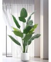 Ver imagem 2 de Bananeira Artificial Decoração Planta Grande para Sala 2.10m