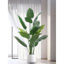 Ver imagem 2 de Bananeira Artificial Decoração Planta Grande para Sala 2.10m