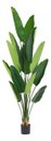 Ver imagem 3 de Bananeira Artificial Decoração Planta Grande para Sala 2.10m