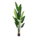 Ver imagem 3 de Bananeira Artificial Decoração Planta Grande para Sala 2.10m