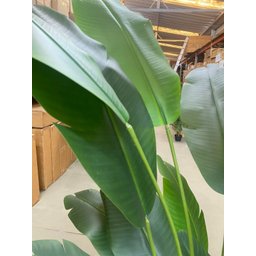 Bananeira Artificial Decoração Planta Grande para Sala 2.10m - 9