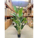 Ver imagem 7 de Bananeira Artificial Decoração Planta Grande para Sala 2.10m