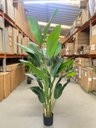 Ver imagem 7 de Bananeira Artificial Decoração Planta Grande para Sala 2.10m