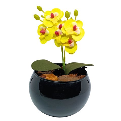 Vaso Decorativo Aquario Preto Esmaltado com Mini Orquídea - Amarelo