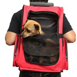 Mala Mochila Transporte Cão Gato Vermelha com Rodinha Viagem - 5