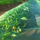 Ver imagem 6 de Tela Mosquiteiro 3 Metros Pernilongo Janela Basculante Porta Mosquito Mosca Inseto Resistente