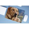 Mouse Pad 40x30 Labrador, na Onda de Marley - 1