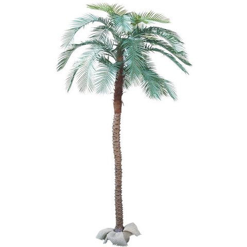 Arvore Folhas Grande 3.2m Coqueiro Palmeira Fenix Real