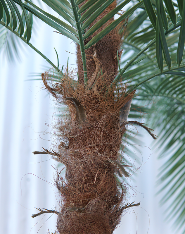 Arvore Folhas Grande 3.2m Coqueiro Palmeira Fenix Real - 3