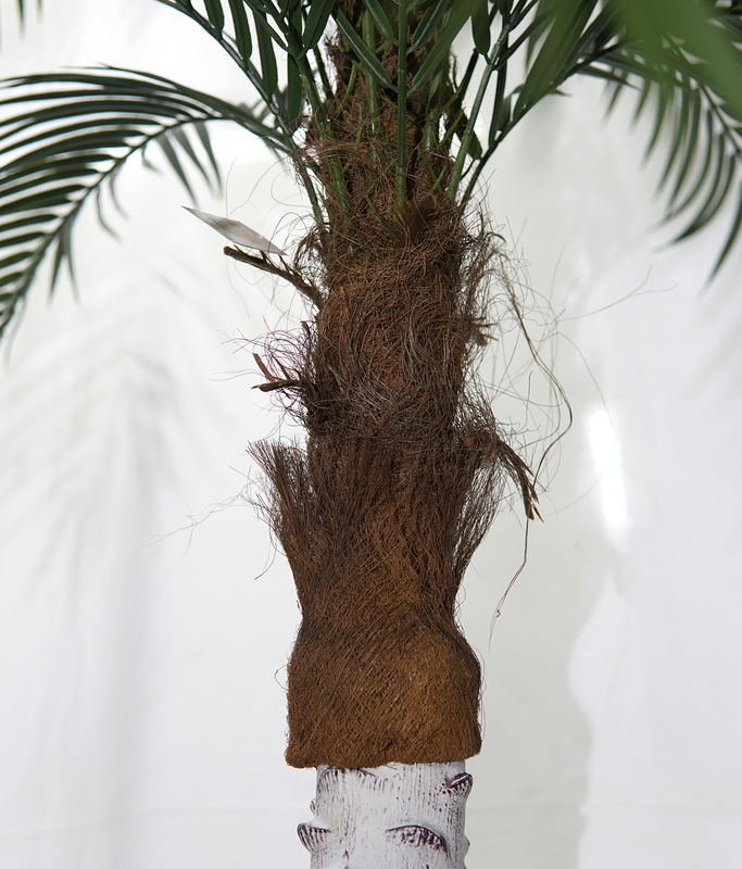 Arvore Folhas Grande 3.2m Coqueiro Palmeira Fenix Real - 2