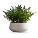 Ver imagem 7 de Kit 8 Mini Buquês Folhagem Ruscus 35cm | Acabamento Natural para Decoração Interna