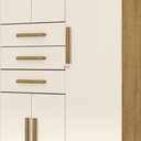 Ver mais imagens de Guarda-Roupa Casal 6 Portas e 03 Gavetas Imperial Bege/Nature/Champanhe