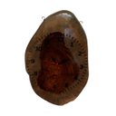 Ver imagem 3 de Relógio Rústico de Parede Tora Bolacha Gg em Madeira Maciça