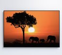 Ver mais imagens de Quadro Família de Elefantes em Pôr do Sol na África