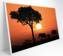 Ver imagem 1 de Quadro Família de Elefantes em Pôr do Sol na África