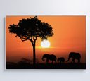 Ver imagem 7 de Quadro Família de Elefantes em Pôr do Sol na África