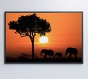 Ver imagem 6 de Quadro Família de Elefantes em Pôr do Sol na África