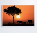 Ver imagem 4 de Quadro Família de Elefantes em Pôr do Sol na África