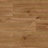 Piso Laminado Click Caixa com 2,77m²  New Evidence 29,2cmx7mmx1,35m Eucafloor - 2