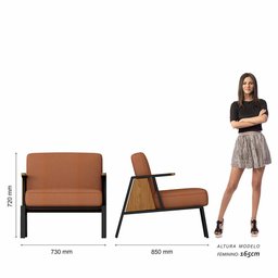 Kit 2 Poltronas Decorativa Newark Preto/cinamomo/terrac - M. Arapongas Preto Fosco/cin/suede - 5