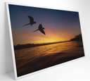Ver mais imagens de Quadro por do Sol no Pantanal Decor&quadros Nat135 90x60 Cm Tecido Canvas