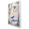 Quadro Decorativo Leão Branco em Moldura Caixa Tacolado Moldura Caixa 3cm Branca sem Vidro 20 X 30cm - 1