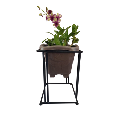 Cachepô Aramado Decorativo Para Vasos 25cm x 25cm x 36cm
