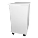 Ver imagem 4 de 2 Gavetas e Rodízio - Gaveteiro Odontológico