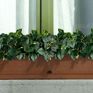 15 Plantas Falsa Peperômia - Folhagem Artificial de Silicone Macia Decoração Realista Alta Qualidade