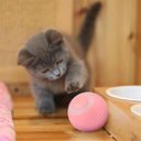 Ver imagem 2 de Bola Giratoria Inteligente Brinquedo Gato Pet Bolinha Usb Bateria Recarregavel Smart Interativo Pets