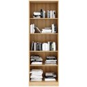 Ver imagem 2 de Estante Armário Alta Livreiro Multiuso Office 2 Portas Vidro Amêndoa