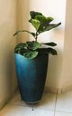 Ver imagem 6 de Suporte Rasteiro P/ Vaso de Planta de Chão 22cm X 8cm