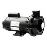 Bomba Dancor Chs-17 50mm 2cv Mono Bivolt - 1