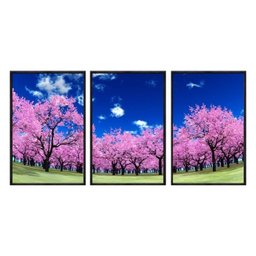 Kit 03 Quadros Decorativos - Cerejeiras Rosa Ceu Limpo Flnt010 - Vidro com Impressão Uv - 60x80cm - 1