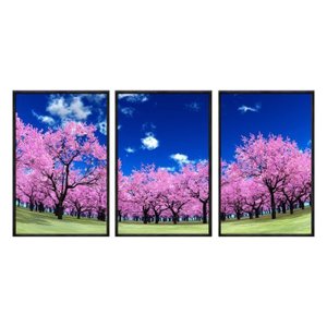 Kit 03 Quadros Decorativos - Cerejeiras Rosa Ceu Limpo Flnt010 - Vidro com Impressão Uv - 60x80cm