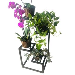 Suporte Planta Floreira Lisa Chão 4 Andares em Ferro para Jardim Varanda - 3