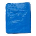 Ver imagem 1 de Lona de Carreteiro Western 4x3 100g P/m2