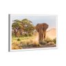 Quadro Elefante Savana -- Br Artes - 1