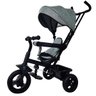 Triciclo 360º Cinza com Empurrador Passeio Divertido Dm Toys - 1